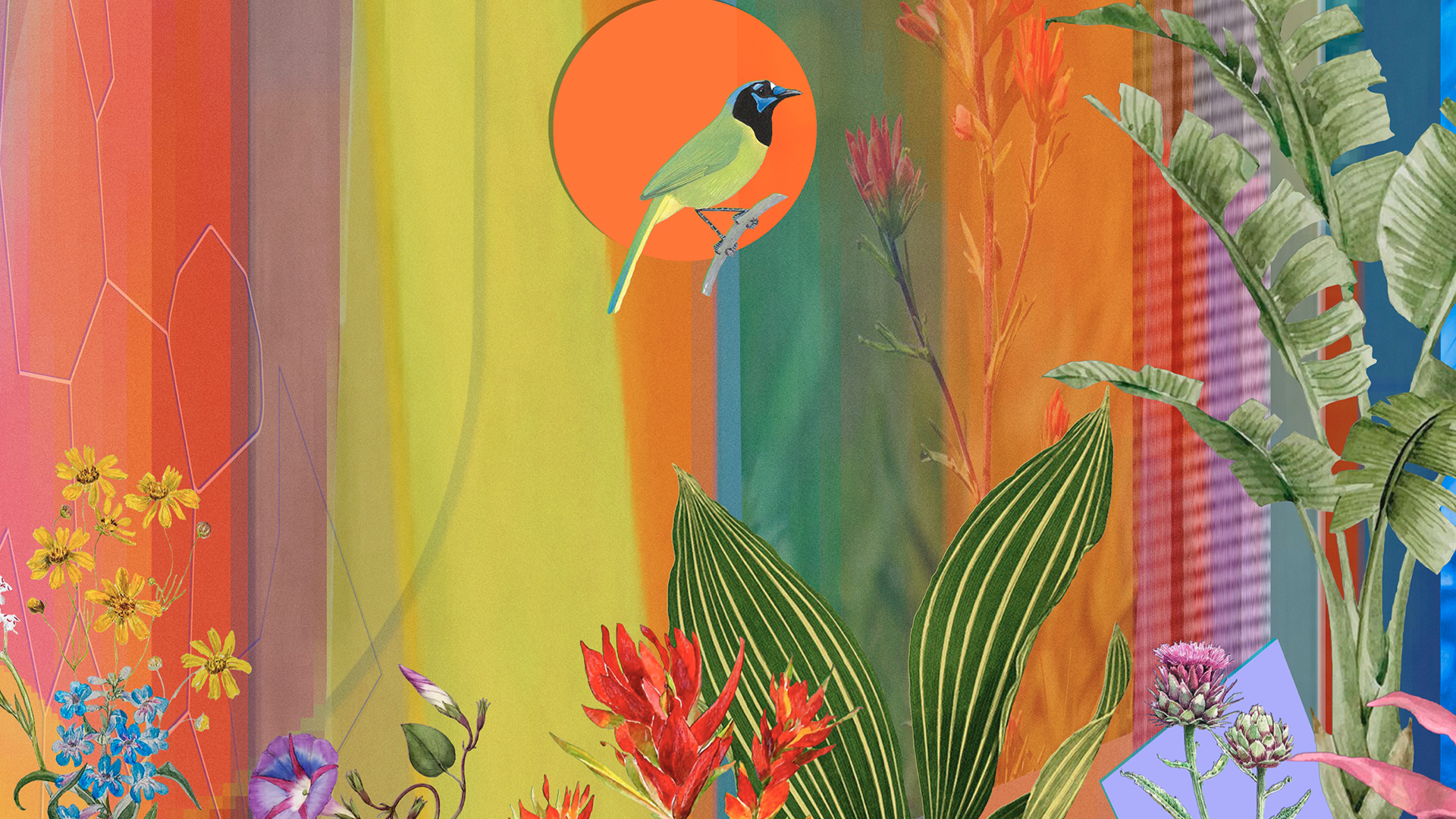VIDA Detail