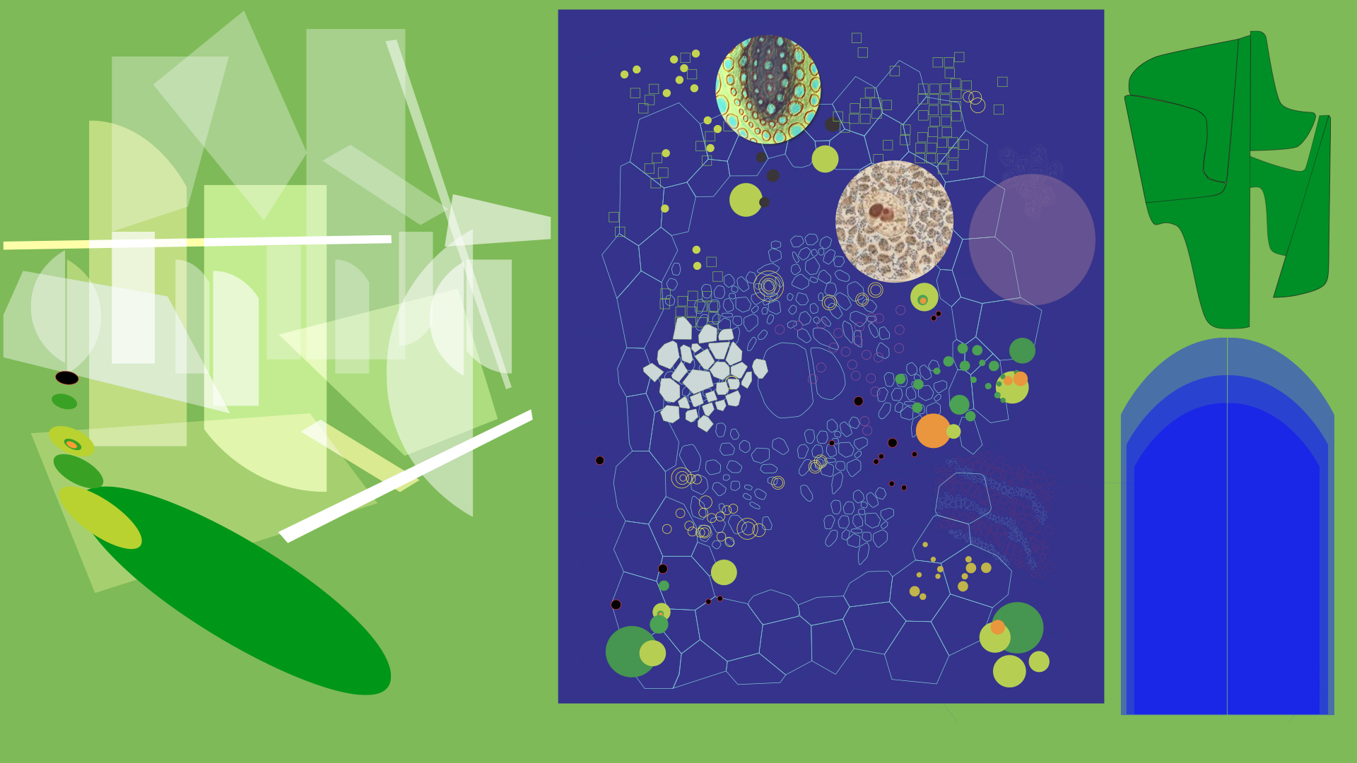 VIDA — Design Process 03